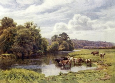 Parco di Nuneham da Alfred Robert Quinton